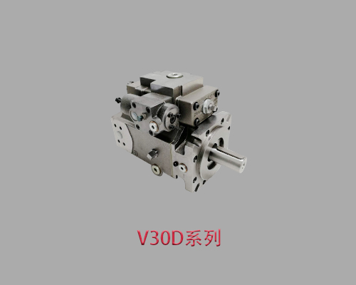 进口V30D-140 LKGN-1-0-04/-1-2/12