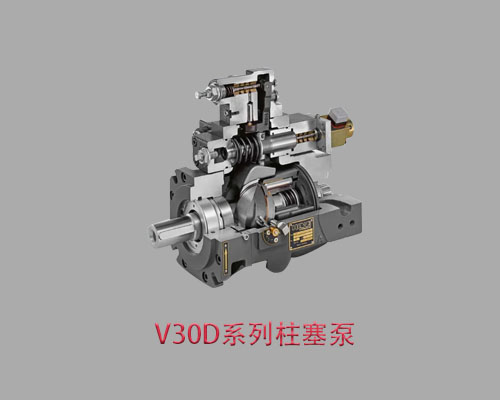 进口V30D系列V30D-045 RDGN-2-1-03/N
