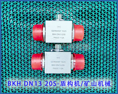 BKH DN13 20S.png