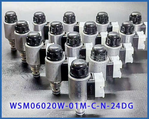 【现货】WSM06020W-01M-C-N-24DG贺德克电