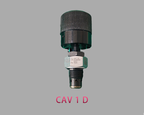 CAV1D.jpg