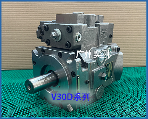 V30D.jpg