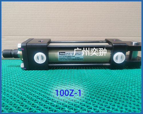 100Z-1.jpg