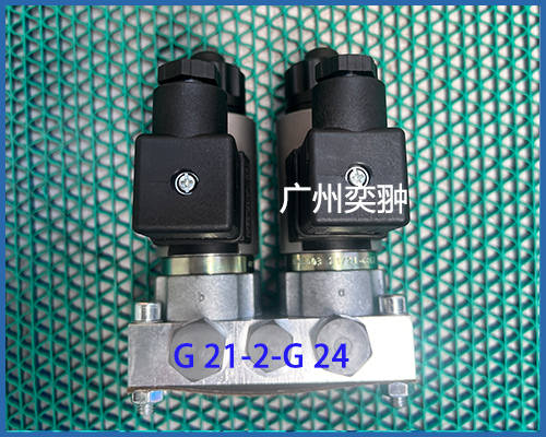 G21.jpg