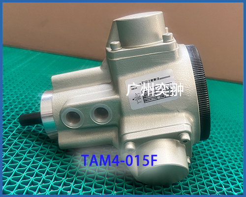 TAM4.jpg